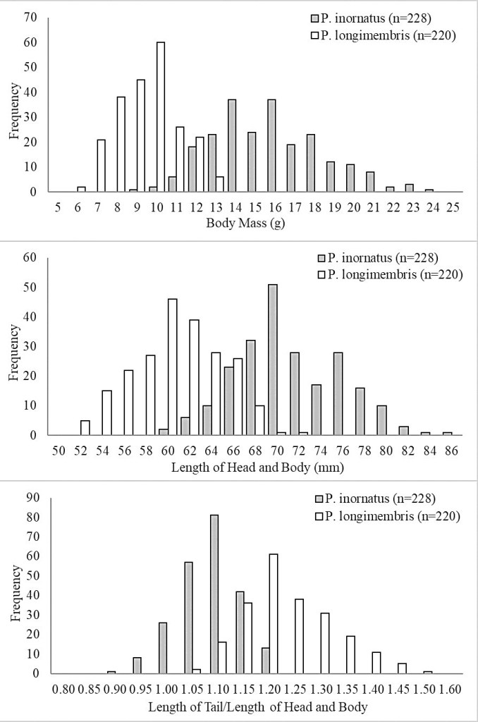 measurements of Perognathus inornatus and P. longimembris from the western Mojave Desert.