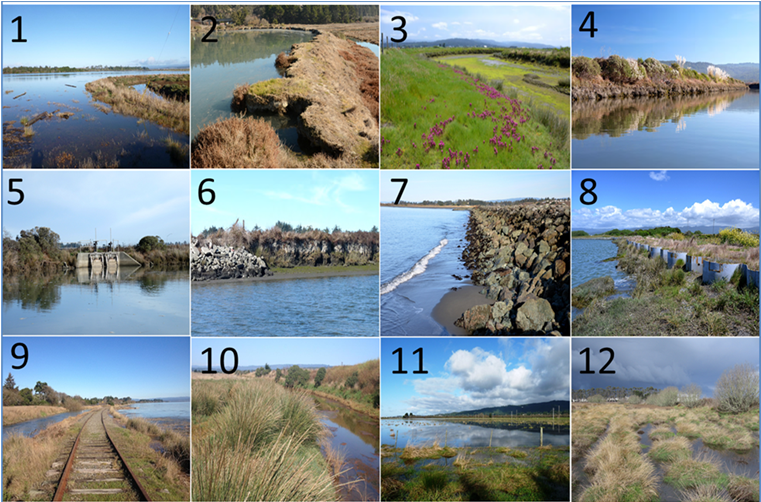 Photographs of diked shorelines illustrating examples and categories of degradation caused by heavy rain, extreme high tide events, and SLR used to categorize environmental parameters in our analyses: 1) Flooded levee on Mad River Slough (photo L. Miller), 2) highly eroded dike at the Humboldt Bay National Wildlife Refuge above lowland terrain, 3) and 4) vegetated shorelines along Fay Slough, 5) typical functioning tide gate, 6) rock-concrete diked shoreline revetment, 7) rocked shoreline, 8) steel bulwark diked shoreline, 9) railroad segment on top of dike surround by salt grass and flooded bay water, 10) salt grass semi-natural herbaceous stand along McDaniel Slough (photo: A. Eicher), 11) flooded pasture caused by stormwater runoff and high tide inundation, and 12) characteristic freshwater marsh habitat for northern red-legged frog on Fay Slough Wildlife Area (photo: R. M. Sullivan). All other photos are by A. Laird (Laird 2013, 2015).