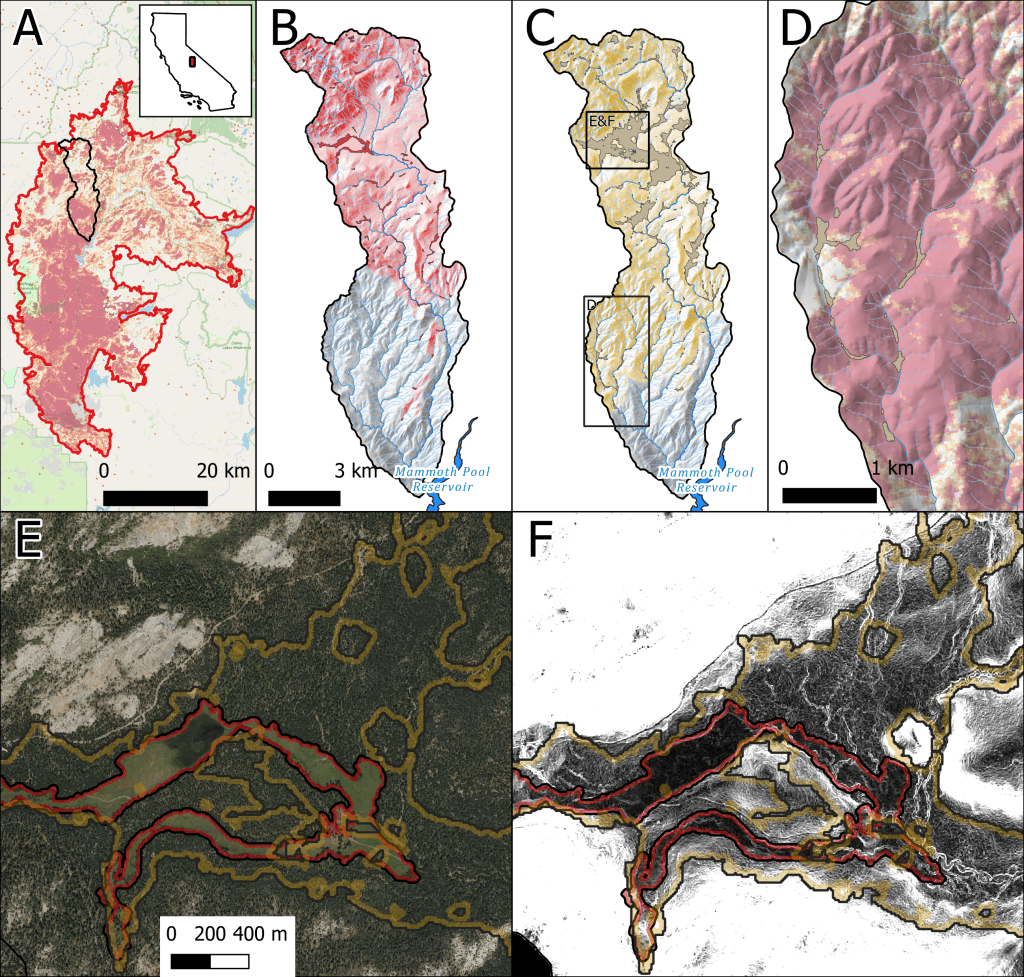 Figure 4. Location of the Jackass Creek Watershed (HUC-12) within the Creek Fire burn area with high severity zones in red (A). Distribution of existing, hand-digitized, Sierra Nevada MultiSource Meadow Polygons (SNMMP) within the watershed with red shading to indicate catchments upstream of existing meadows (B). Distribution of model-predicted meadow boundaries within the watershed with yellow shading to indicate catchments upstream of predicted meadows (C). Western region of the Jackass Creek Watershed that burned with high severity (red) where a series of model-predicted meadows were identified but no corresponding SNMMP meadows occur (D). Aerial view of Jackass Meadow area with SNMMP meadow boundaries in red and model-predicted boundaries in gold (E), and a slopeshade raster of the same area highlighting many deeply incised flow paths crossing the low-gradient forested zone of the model-predicted meadow polygons (F).