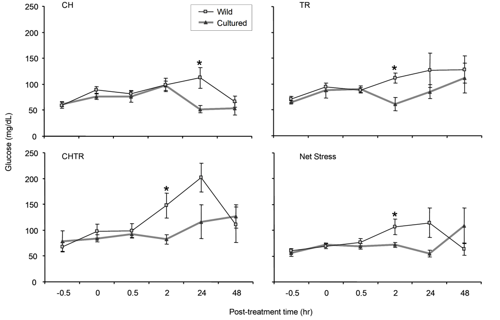 Four graphs. X axis in all graphs is post-treatment time ranging from -0.5 to 48 hours. Y axis in all graphs is Glucose levels ranging from 0 to 250 mg/dL. Mean glucose levels in wild Delta Smelt  post-treatment in all experiments was generally higher at every measurement than mean glucose levels in cultured Delta Smelt. Significant difference in mean glucose levels between wild and cultured Delta Smelt are seen in the CH experiment at the 24 hour interval; in the TR experiment at the 2 hour interval; in the CHTR experiment at the 2 hour interval; and in the Net Stress experiment at the 2 hour interval.