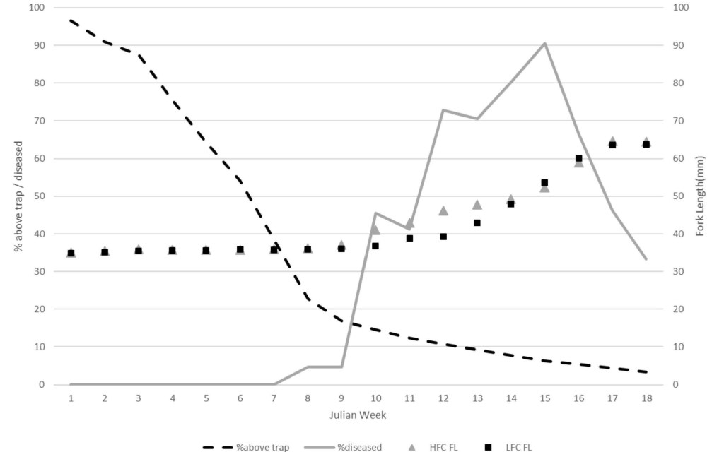 Line graph. Black dashed line decreases sharply from nearly the highest at the beginning of the sampling period until the mid-point of the sampling period where it decreases gradually towards zero. Gray solid line increases sharply at the same point the Black dashed line decreases. The Gray solid line then decreases towards the end of the sampling period. Gray triangles and Black squares gently increase through the center or mid-range of the graph over the entire sampling period.