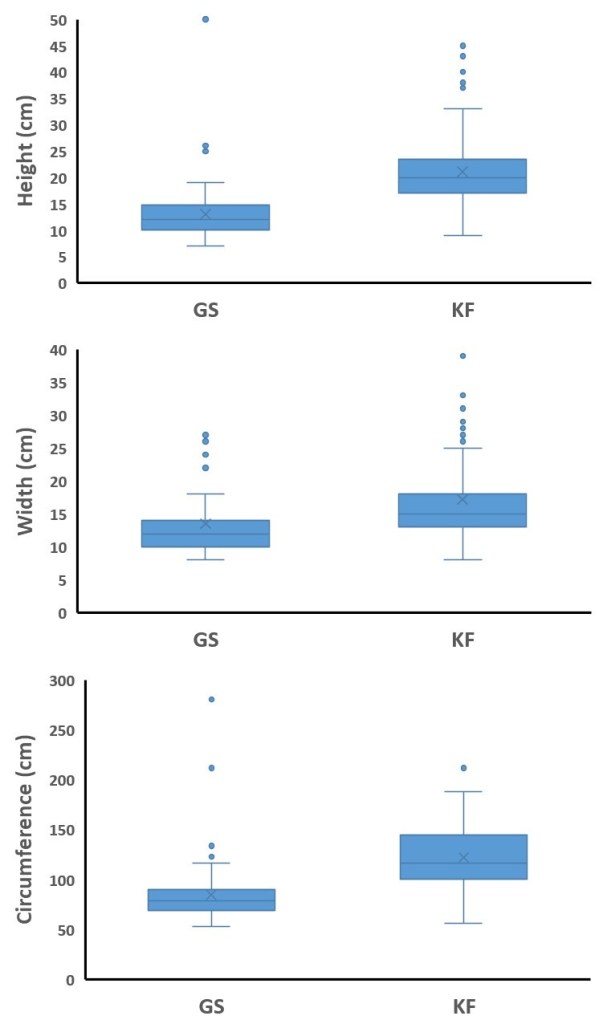 Height, width, and circumference measurements for entrances to San Joaquin kit fox dens (KF) and California ground squirrel burrows (GS) on the campus of the California State University, Bakersfield campus, during June–July 2023. The plots display the minimum value, first quartile value, median value, third quartile value, maximum value, mean (denoted by the “x”), and outlier values.