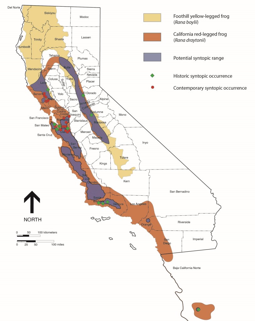 The ranges of California red-legged frog (CRLF), and foothill yellow-legged frog (FYLF), areas of range overlap, and the regions of our sites of investigation in California, 2023. 
