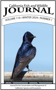 Cover of Issue 1 of Volume 110 of the California Fish and Wildlife Journal with a purple martin, a medium blue and black songbirds sitting on a metal fence