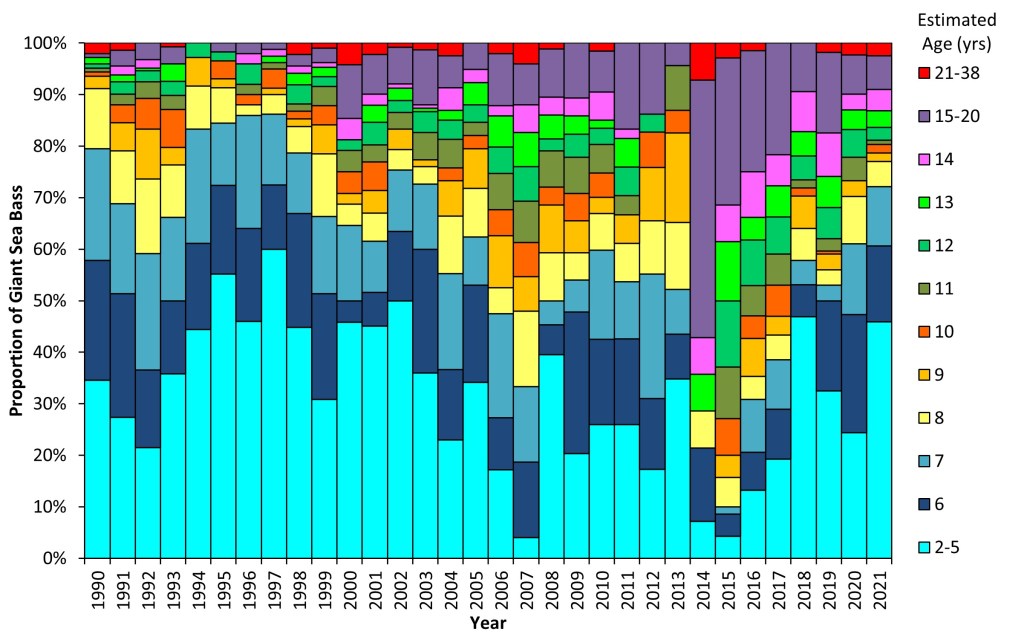 Stacked bar chart of proportion of GSB commercial landings by estimated age class from 1990 to 2021. The blue colors at the bottom of each bar reflect the youngest estimated age classes, and the purple and red colors at the at the top of each bar reflect the oldest estimated age classes.
