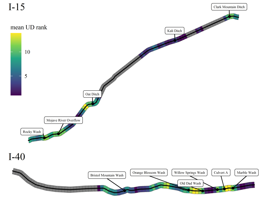 Shaded segments of highways I-15 and I-40 predicting desert bighorn activity around 11 underpasses. 