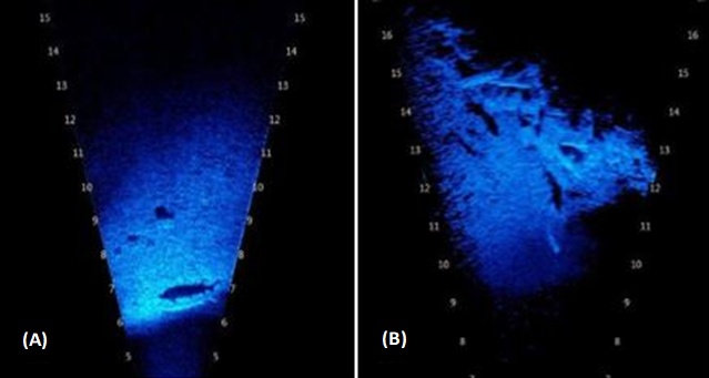 These are two sonar images captured on the Tuolumne River in August of 2021. Image A shows the outline of a sturgeon towards the bottom of the sonar image. Image B from later in the month shows the outline of two sturgeon, one towards the top and one in the middle of the image.