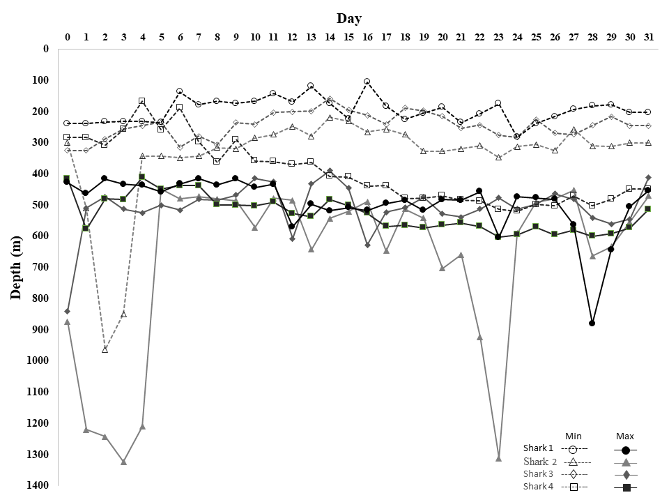 This is a line graph depicting depth over a time. The X-axis is time represented as day ranging from 1 to 31. The Y-axis is depth measured in meters ranging from 0 to 1400. Each shark has a minimum depth line (dotted) and a maximum depth line (solid). The lines for Shark #1 use a circle icon. The lines for Shark #2 use a triangle icon. The lines for Shark #3 use a diamond icon. The lines for Shark #4 use a square icon. The sharks generally stayed between 100 and 700 meters with Shark #2 reaching depths over 1300 meters twice during the study period.