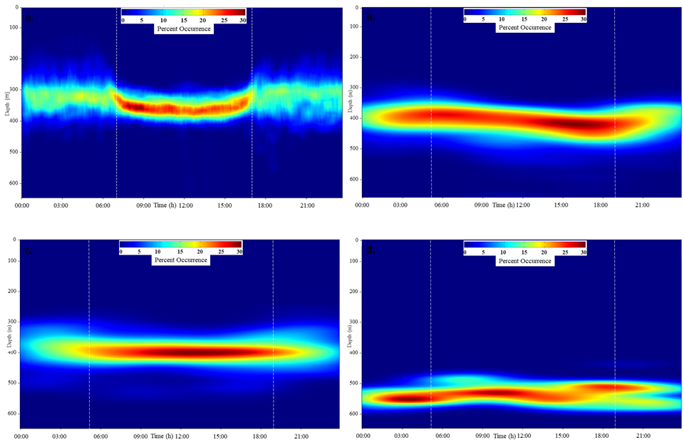 This figure includes four depth probability plots, one for each shark. The X-axis is time in hours ranging over a 24-hour period. The Y-axis is depth in meters ranging from 0 to over 600.  Color represents the percent occurrence values ranging from 0 (blue) to 30 (red). Shark #1 (plot a) spent most of its time just below 300 meters. Shark #2 (plot b) and Shark #3 (plot c) spent most of their time at 400 meters. Shark #4 (plot d) spent most of its time just below 500 meters. 