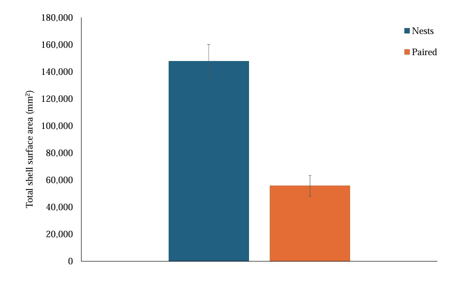 Bar graph comparing the mean total shell surface area (mm squared) around nests and paired sites. Nests have more shells than paired sites.