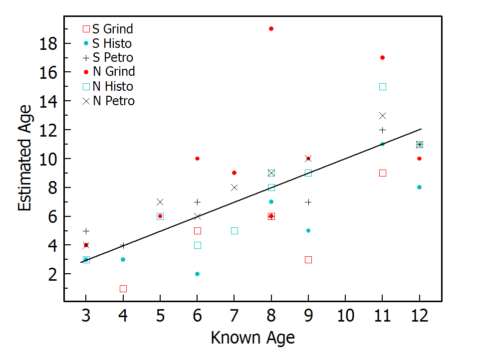 Estimated ages of bighorn sheep (Ovis canadensis) from tooth cementum rings relative to known ages for a southern data set (S) of seven females from the Eastern Mojave Desert of California and a northern data set (N) of nine males from the Sierra Nevada, White Mountains, and Dry Mountain in Eastern California (Fig. 1) based on three laboratory methods: grinding (Grind), histological (Histo), and petrographic (Petro). The diagonal line represents correct ages.