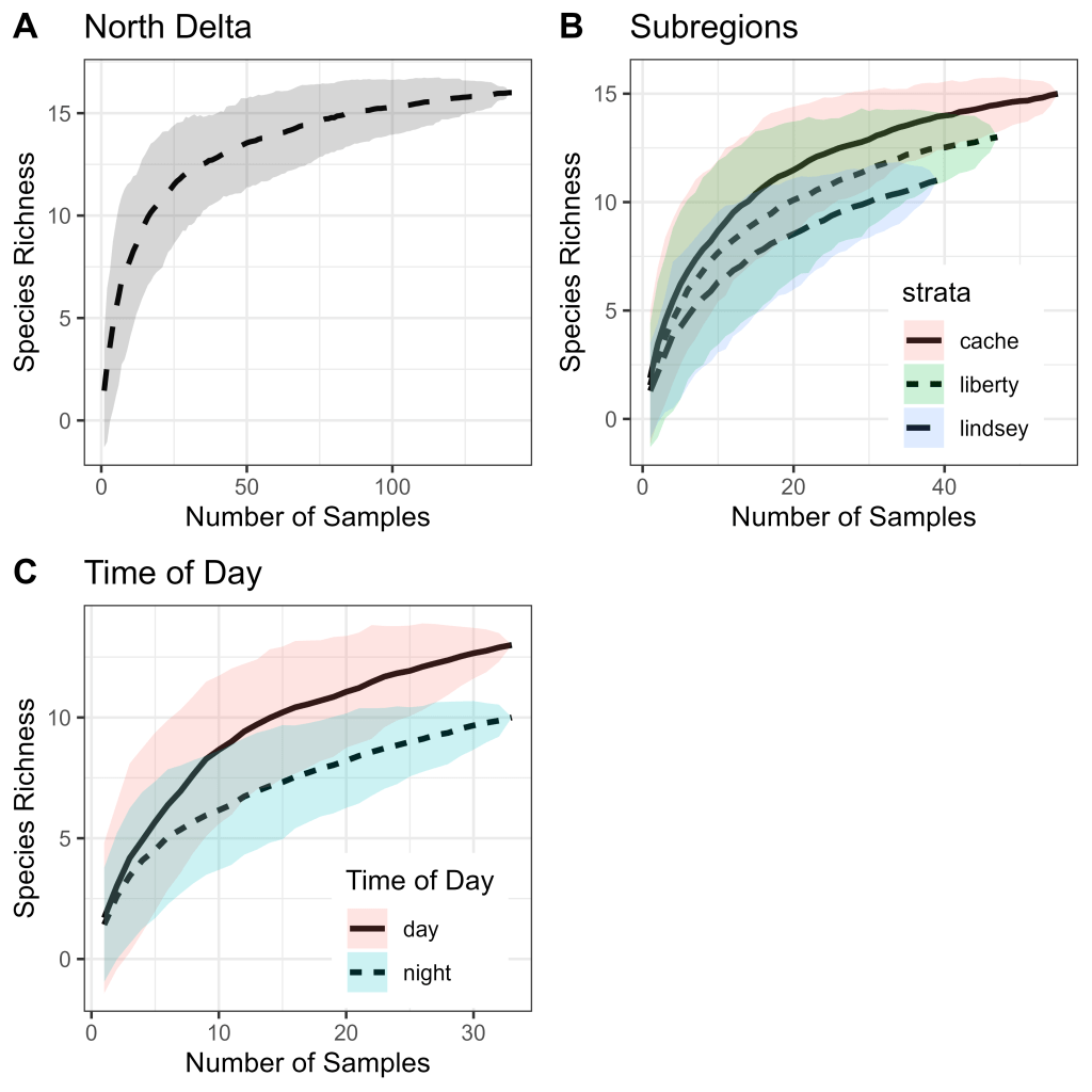 This figure includes three species accumulation curves. Graph A depicts the North Delta with nearly 150 samples for all three complexes together). Species richness rose sharply to about 12 in the first 25 samples and then tapered off to just over 15. Graph B depicts the North Delta subregions with over 50 samples per complex. Cache Complex has a solid mean line and the confidence interval shaded in pink. Liberty Complex has a dotted line and the confidence interval shaded in green. Lindsey Complex has a dashed line and the confidence interval shaded in blue. Graph C depicts the Time of Day with just over 30 samples per period. Day time has a solid mean line and the confidence interval shaded in pink. Night time has a dotted line and the confidence interval shaded in blue.