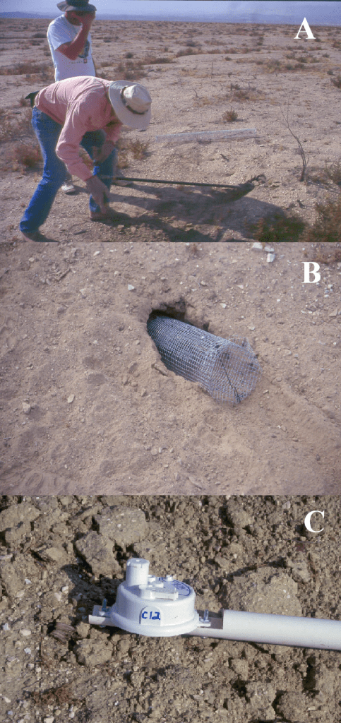 Placement of Hobo Pro RH/Temp data loggers (model H08-032-08) in simulated burrows on the Lokern Natural Area in the San Joaquin Desert of California, USA. (A) Using an auger to dig simulated slanting burrows. (B) Simulated burrows made of 6.4 mm (0.25 in)-mesh hardware cloth 12.7 cm in diameter fitted into augured burrows about 115 cm deep and about 30–40 cm below the surface at the distal end. Tubes were made to keep rodents out of the augured hole to prevent them from packing the burrow with dirt. (C) Into each wire mesh tube, we inserted a data logger that was attached to the end of a 100-cm long, 1.3-cm diameter PVC pipe to allow for maintenance of the units over the 3.5-year duration of the study.