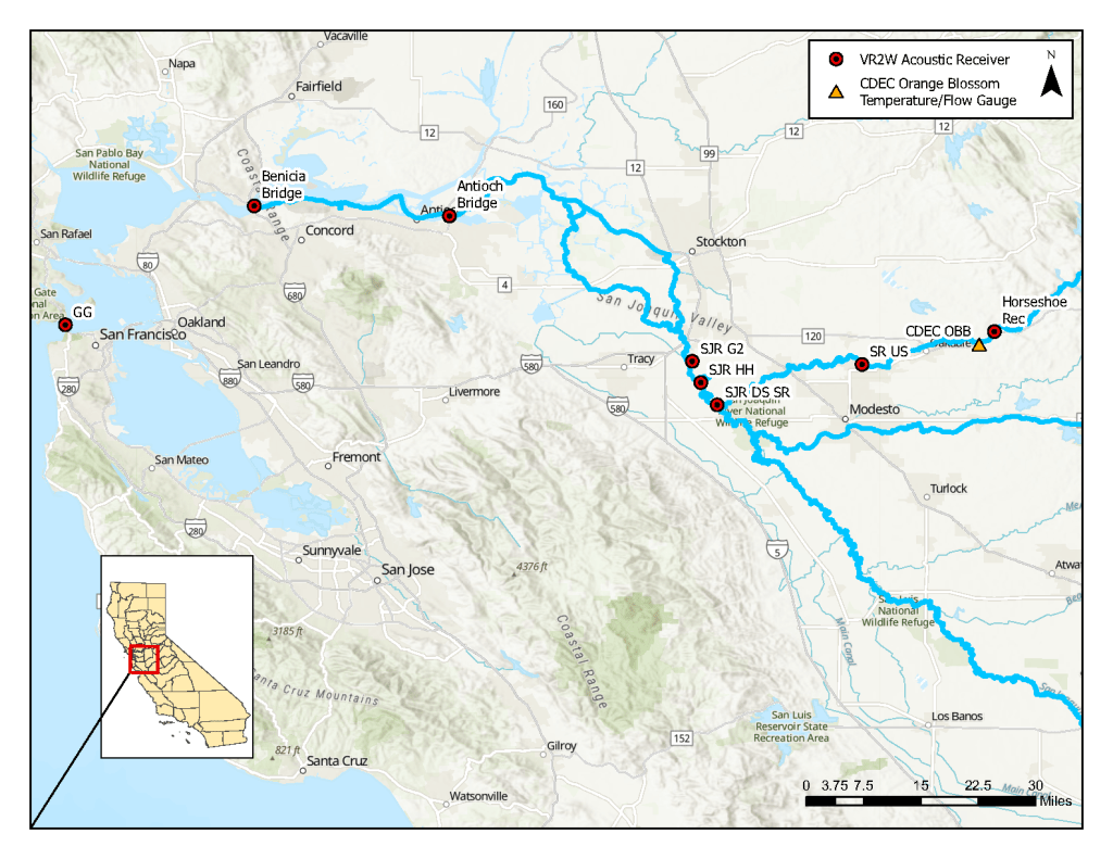 Map of the San Joaquin Valley, showing the San Joaquin River and tributaries, and acoustic receiver and gaging station locations. 