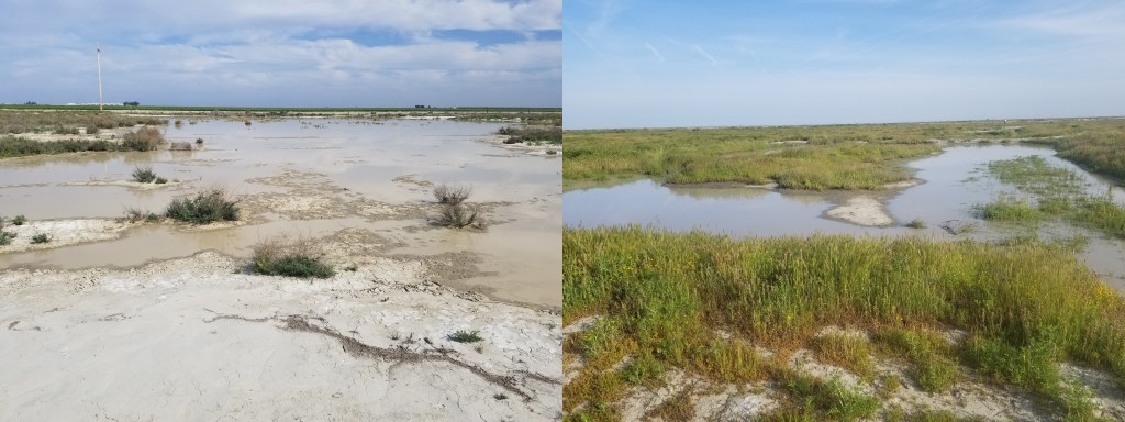 Images of two pools. Left image has very little vegetation in the foreground. Right image has thicker vegetation surrounding pool.
