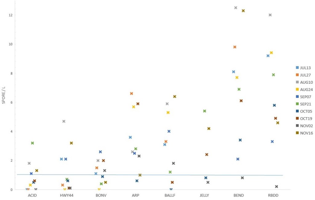 Mean C. shasta spore/L concentrations for Sacramento River samples collected from 13 July to 16 November 2016, at Anderson-Cottonwood Irrigation District intake (ACID), Highway 44 bridge (HWY44), Bonnyview bridge (BON), Anderson River Park (ARP), Balls Ferry bridge (BALLF), Jelly Ferry bridge (JELLY), Bend bridge (BEND), and Red Bluff Diversion Dam (RBDD). The 27 July RBDD spore concentration of 25 spore/L was left off the graph to improve visualization. One spore/L line to distinguish values at or below this concentration.