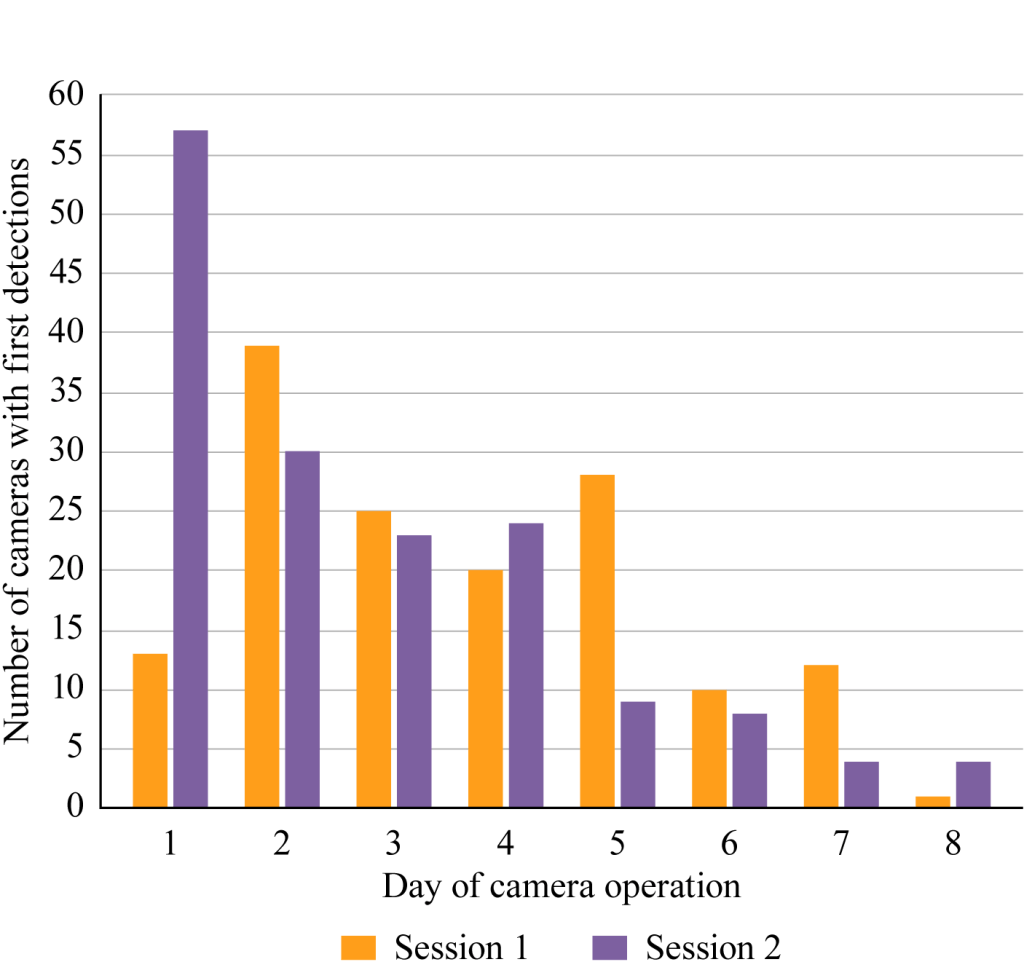 Bar graph illustrating number of cameras with first detections along the y-axis and the day of camera operation along the x-axis. The y-axis ranges from 0 to 60 with intervals at 5. The x-axis ranges from 1 to 8 with intervals at 1. Two sessions are illustrated in graph. Session 1 is orange. Session 2 in purple. Session 1 has a peak on Day 2 with over 35 cameras with first detections. Session 1 first detections then gradually decrease over the remaining days of the session with an exception at Day 5 where nearly 30 first detections where made. Session 2 has a peak on Day 1 with over 55 cameras with first detections. Session 2 first detections drop quickly to 30 first detections on Day 2 then gradually decrease over the remaining days of the session. 