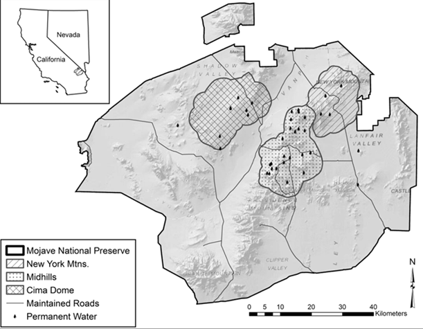 Three study areas were located in Mojave National Preserve, San Bernardino Co., California, and are identified as the New York Mountains, Cima Dome, and the Mid Hills. Telemetered mule deer did not move among these three areas during 2008–2016. Figure adapted from Heffelfinger et al. 2020.