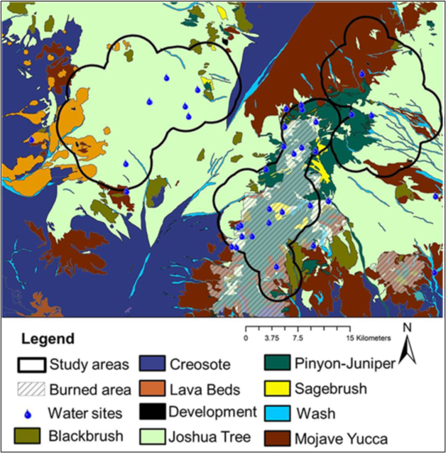 Distribution of vegetation types and developed areas occurring at Cima Dome (upper left polygon), in the New York Mountains (upper right polygon), and the Mid Hills (lower center polygon), in each of the 3 study areas in Mojave National Preserve, San Bernardino County, California.