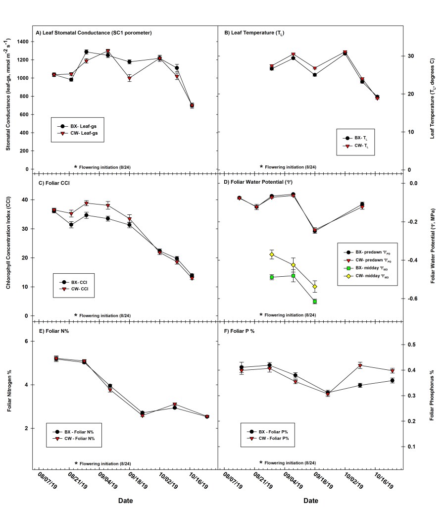 Summary of weekly to bi-weekly assessments of plant physiological function by cultivar for the hemp experimental field study located near Robbins, North Carolina during late summer and fall of 2019. Summary panels include: a) stomatal conductance measured via SC-1 porometer (leaf-gs), b) leaf temperature (TL), c) foliar chlorophyll content index (CCI), d) foliar water potential (), e) foliar nitrogen content %, and f) foliar phosphorus content %. Error bars represent ± 1 S.E. of the mean.