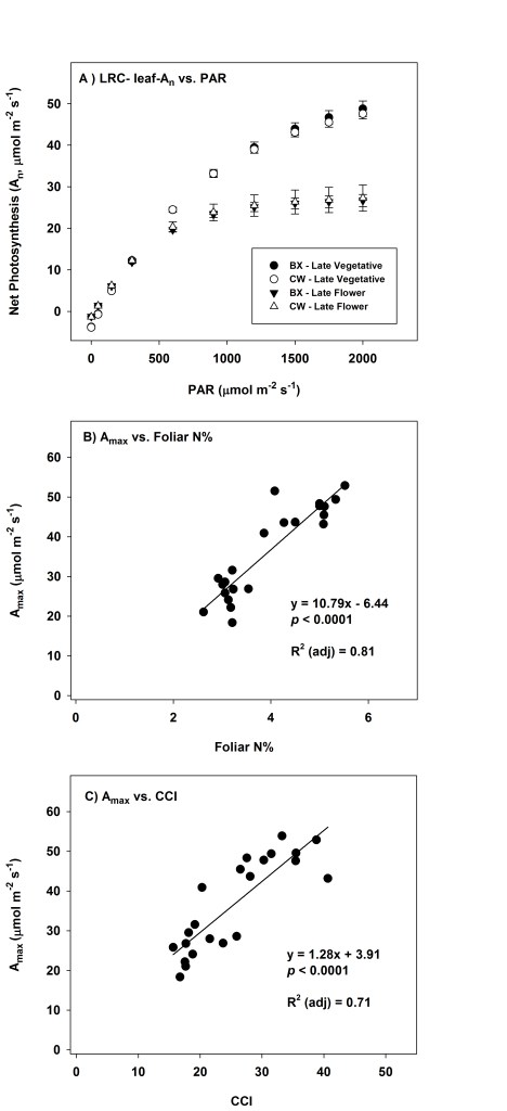 Light response curves (LRC, panel a) for two hemp cultivars during the late vegetative and late flower growth periods at the Robbins hemp field study during 2019. Measurements were made at ambient CO2 (400 ppm), temperature (late veg. = 33°C, late flower = 25°C), and VPD (late veg. = 1.26 kPa, late flower = 1.5 kPa). Error bars represent ± 1 S.E. of the mean. Relationship of Amax (light saturated photosynthesis) versus b) foliar nitrogen content (N%) and c) chlorophyll concentration index (CCI) for LRC data.