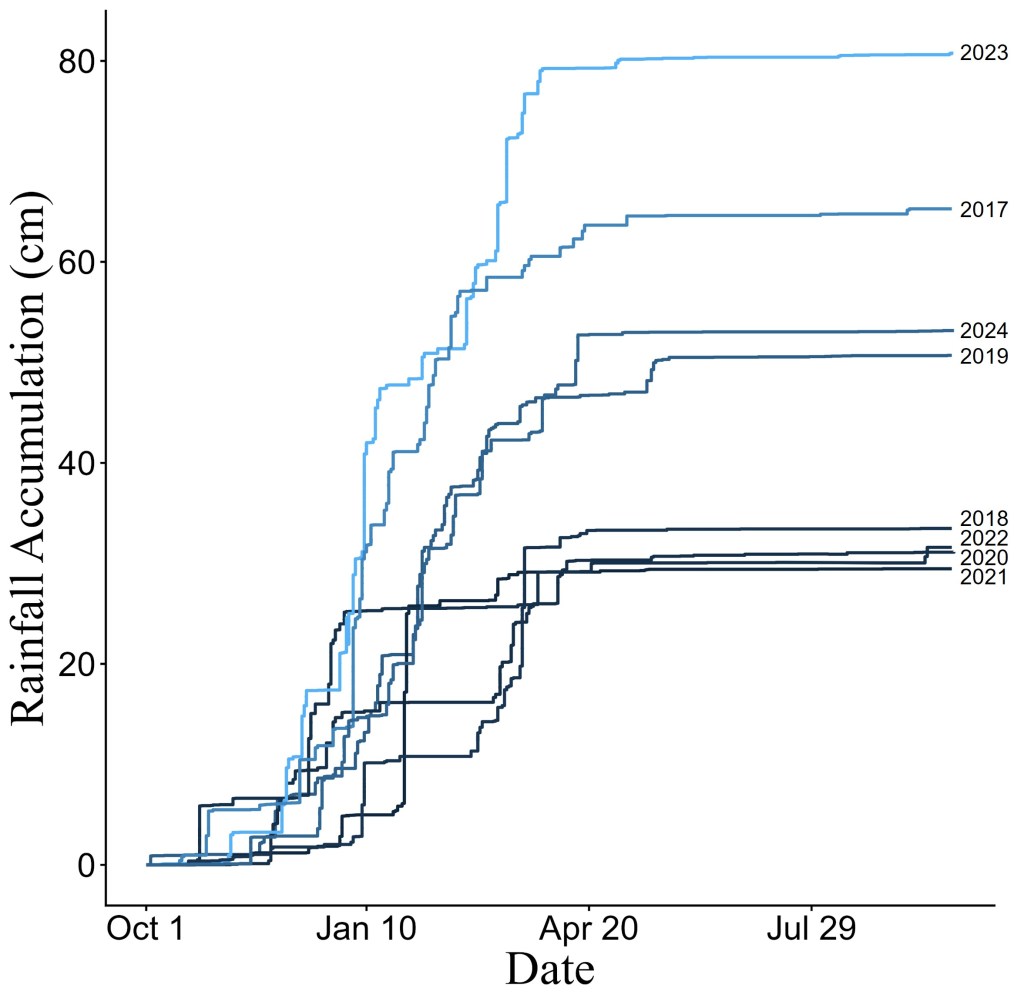 Graph of yearly rainfall accumulation (cm) from October through August at the San Luis Obispo County stream gage.