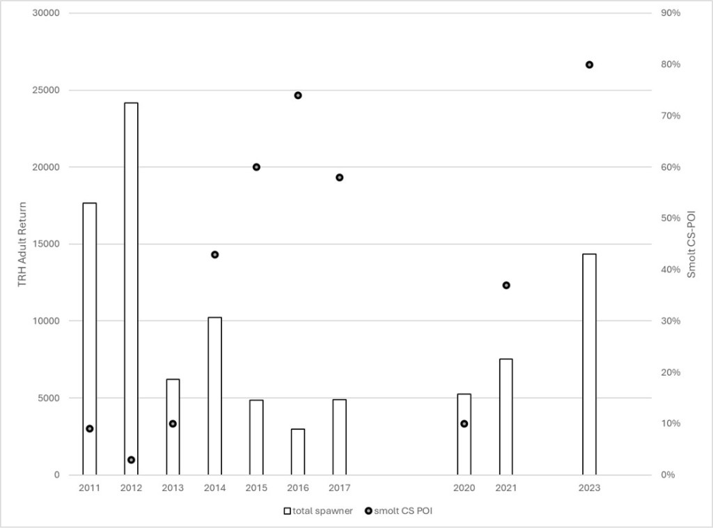 Relationship between C. shasta prevalence of infection in coded wire tagged TRH spring and fall-run Chinook salmon smolts captured in the estuary between 2009 and 2021 and subsequent adult fall and spring-run Chinook salmon returns to the hatchery two years later.