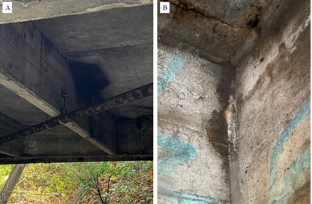 Two interior photos of guano accumulation.