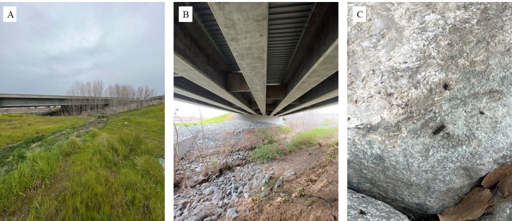 Three photos of the same area. The photo on the far left depicts a bridge at a distance. The middle photo shows the underside of the bridge, and the right photo shows guano accumulation and staining underneath the bridge.