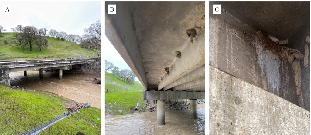 Three photos of a bridge over muddy water. The first image shows the structure from the outside, and the second and third image shows guano staining. 
