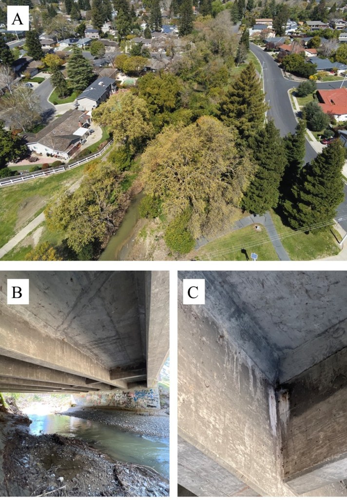 Three images of a bridge. The top image shows an arial view. The other two images show the interior. The one on the left shows the substructure, and the one on the right shows guano staining. 