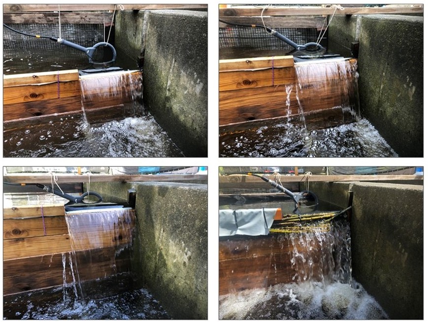 Series of four photos of fish barriers at different h
