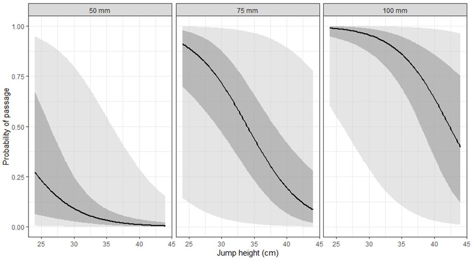 Three graphs depicting probability of passage and jump height for fish at a fork length of 50mm, 75 mm, and 100 mm.