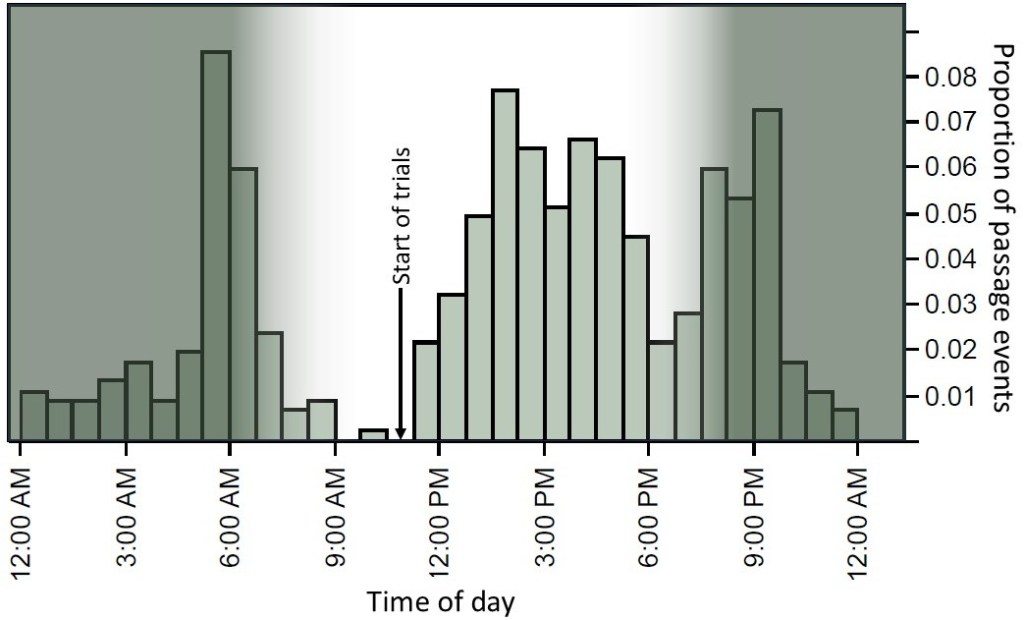 Histogram showing successful passage events over the the time of day.
