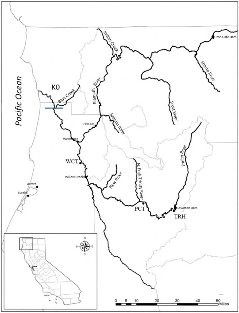 Trinity River survey area for Chinook Salmon collection: Trinity River Hatchery (TRH), rotary screw traps operated at Pear Tree (PCT), Willow Creek (WCT), and the Klamath estuary (K0) in California. Map provided by the U.S. Fish and Wildlife Service, Arcata Fish and Wildlife Office.